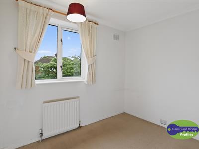 Picture 23
